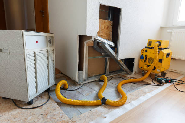 Reliable Syracuse, NE Mold Removal Solutions